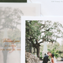 Vellum wrap thank you cards